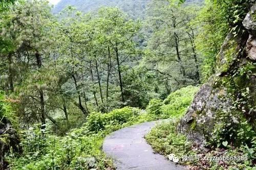 幻想纹章3.1